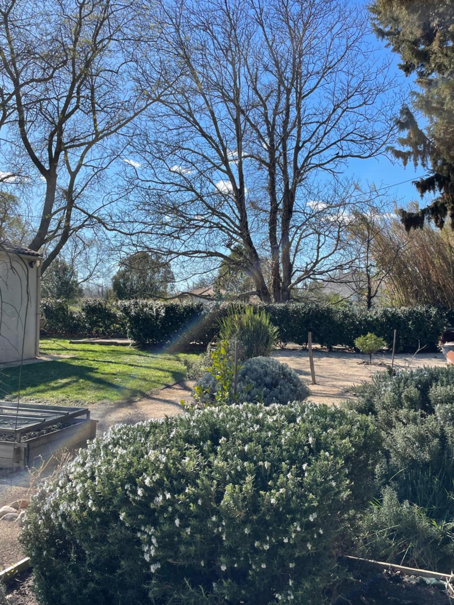 Arles Campagne Location "La Campagn'Arles" Bed and Breakfast Buitenkant foto