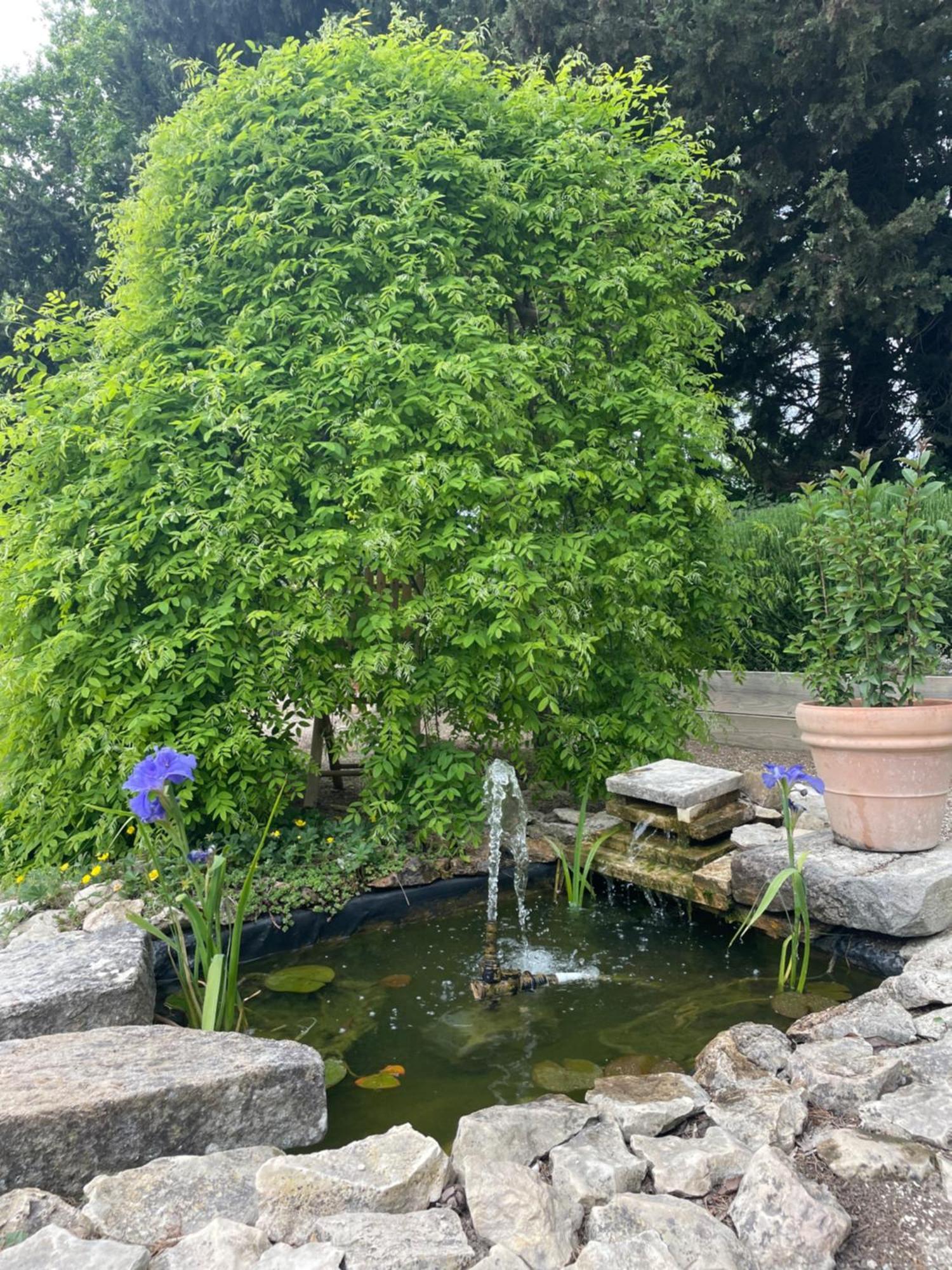 Arles Campagne Location "La Campagn'Arles" Bed and Breakfast Buitenkant foto